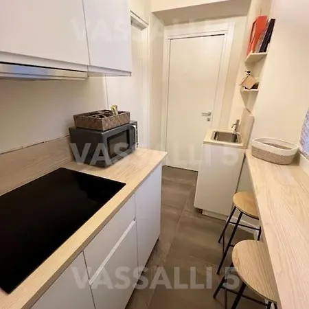 Vassalli 5 アパート